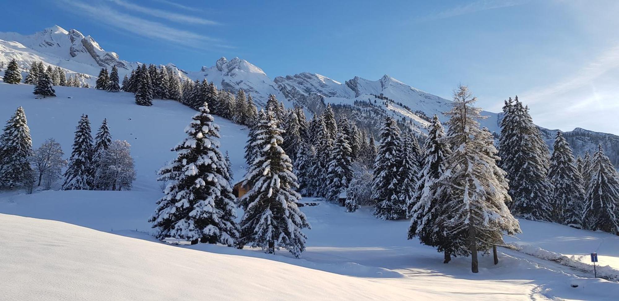 Appartement Cosy Face Aux Aravis Le Grand-Bornand Exteriér fotografie