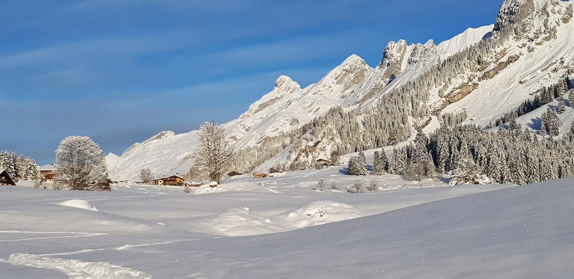 Appartement Cosy Face Aux Aravis Le Grand-Bornand Exteriér fotografie